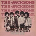 The Jacksons - Shake your body (down to the ground)