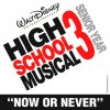 High School Musical 3 - Now Or Never