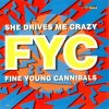 Fine Young Cannibals - She drives me crazy